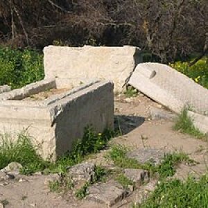 Barak