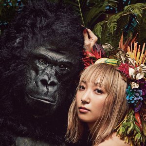 AKKOGORILLA