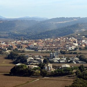 Artesa