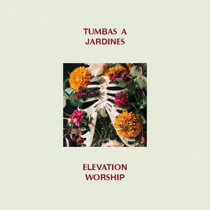 Elevation Español