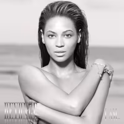 Single Ladies (Put a Ring on It) - Beyoncé