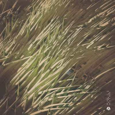 Endless Breeze - Uevo