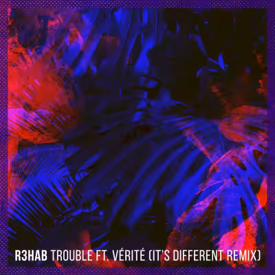 Trouble (feat. Vérité) [It's Different Remix] - R3HAB