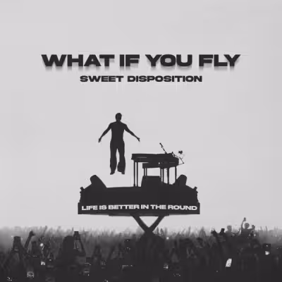 What If You Fly (Sweet Disposition) - BUNT.
