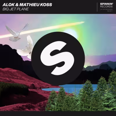 Alok & Mathieu Koss - Big Jet Plane