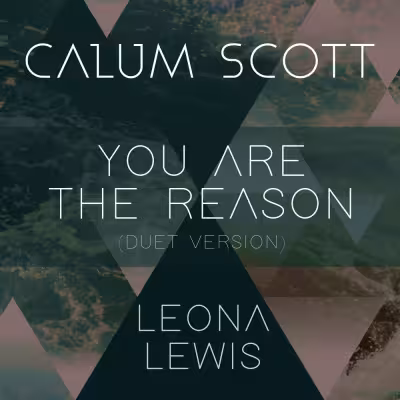 You Are the Reason (Duet Version) - Calum Scott
