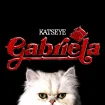 Portada de Gabriela