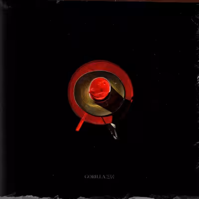 GORILLA SHIBAI - VAUNDY