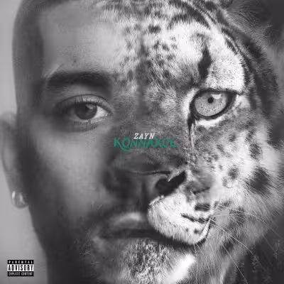 Side Effects - ZAYN