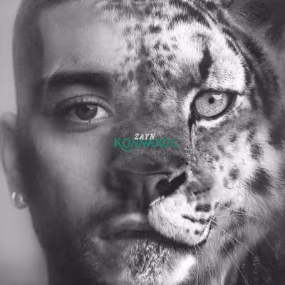 Sideways - ZAYN