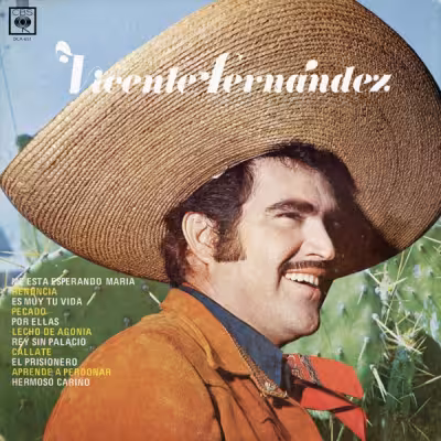 Vicente Fernández - Hermoso Cariño