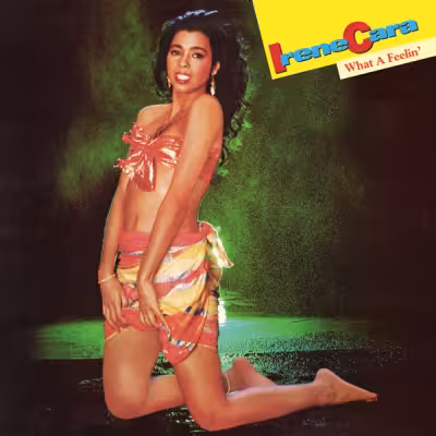 Flashdance... What A Feeling ('95 Version) - Irene Cara