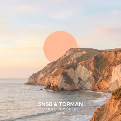 Echoes in My Head (feat. LAUT) - SNS8